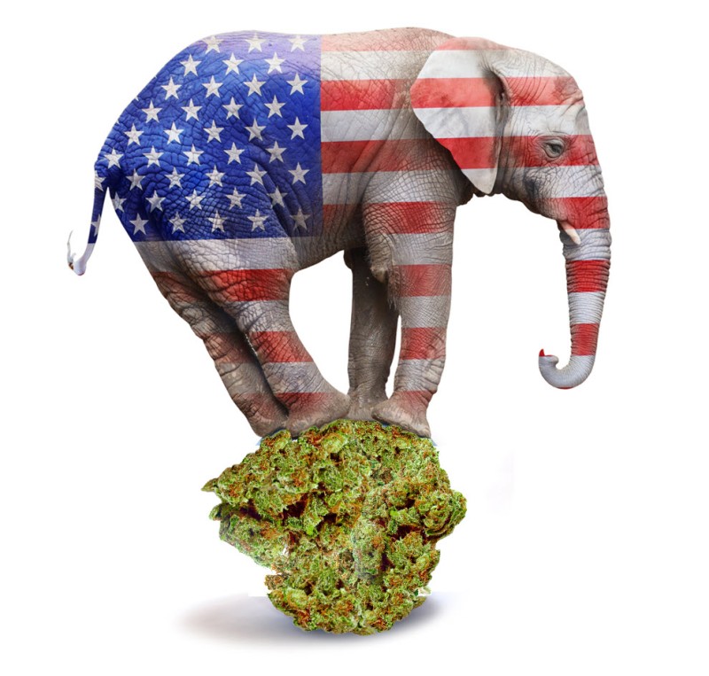Republicans leave over weed