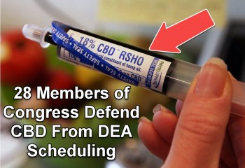 28 Members of Congress Sue the DEA to Reschedule CBD