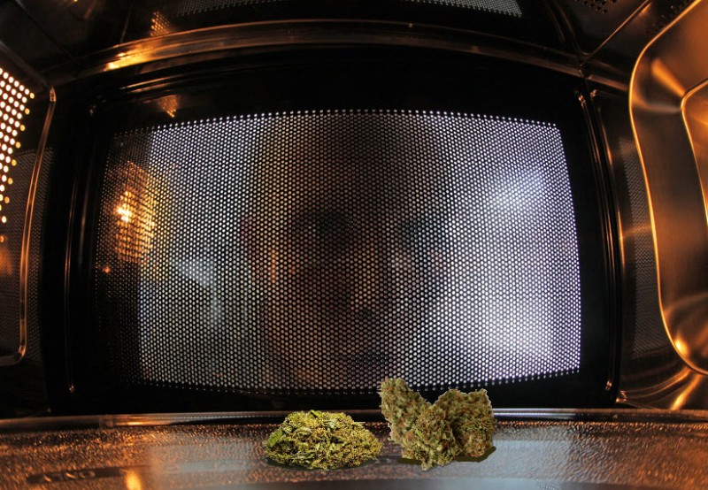 microwaving your weed