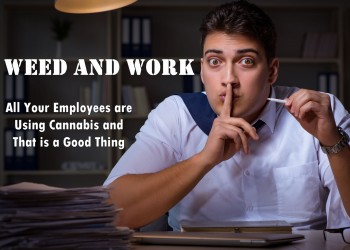 Weed and Work: All Your Employees are Using Cannabis and That is a Good Thing