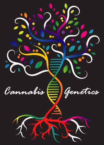 Cannabis Genetics 101