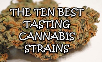 The Top 10 Best Tasting Cannabis Strains