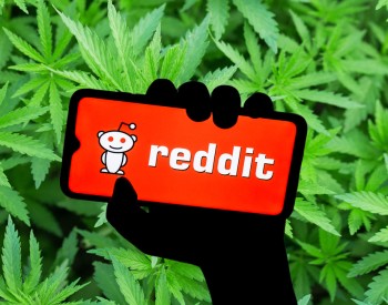 What the New Reddit-Based Cannabis Study Teaches Us about Cannabis and Getting High