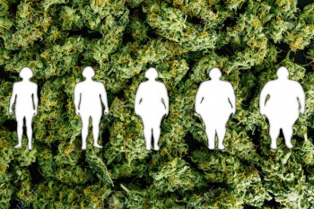 Are There Marijuana Strains That Can Help Reduce Obesity Rates?