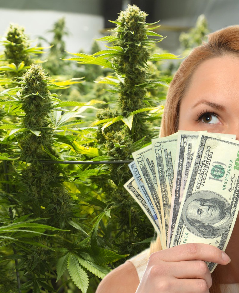 OBBBA and marijuana