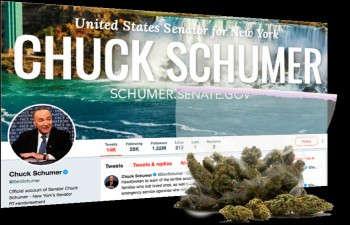If at First You Don't Succeed - Senator Schumer Plans to Introduce His Latest Cannabis Legalization Bill in April