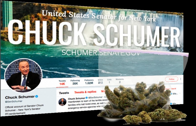 Chuck Schumer marijuana reform bill