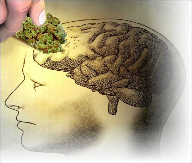 cannabis for memory