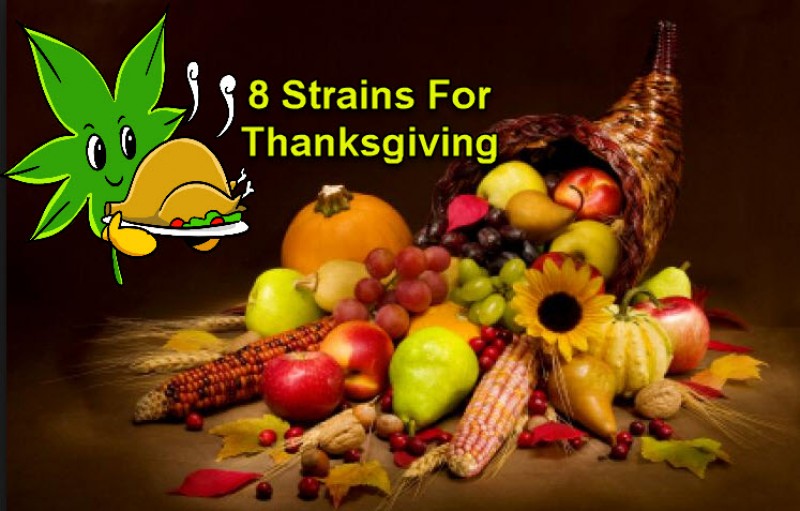 8 Cannabis Strains For Thanksgiving