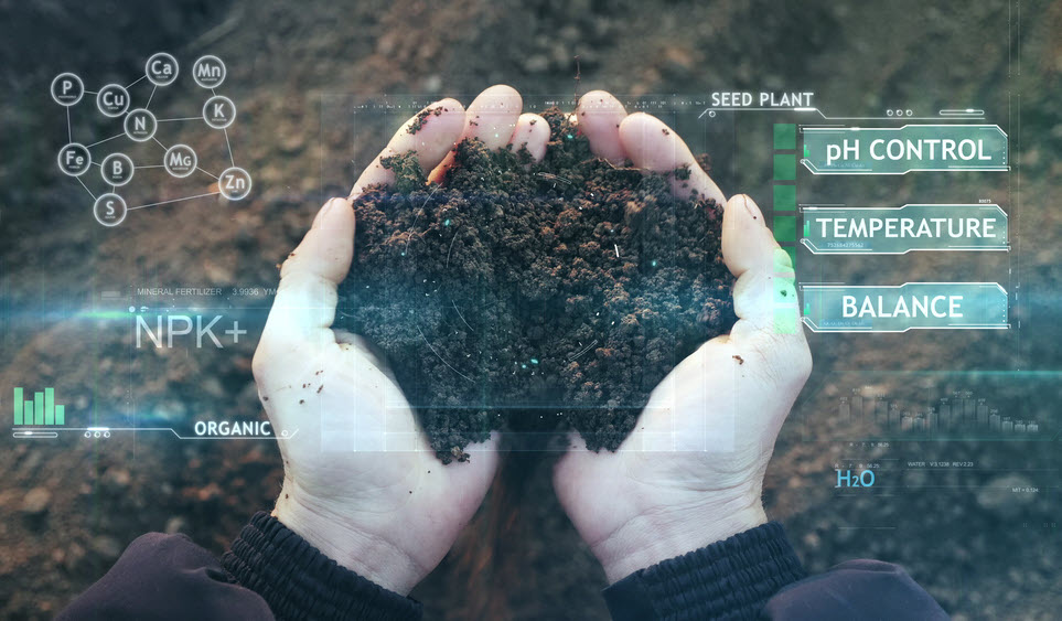 Do You Know Your NPK Ratios for Growing Weed? Best Ratio of Nitrogen, Potassium, and