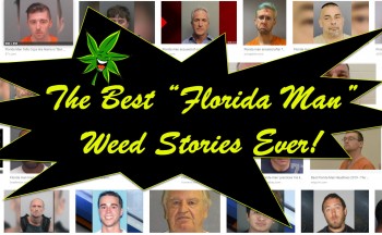 The Best Florida Man Weed Stories Ever Recorded