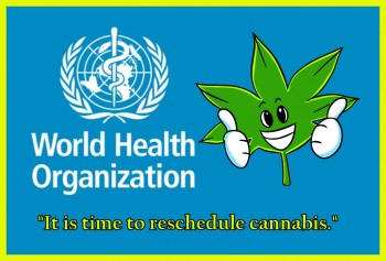 Reschedule Cannabis Says World Health Organization
