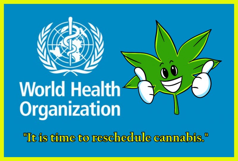 WHO for cannabis rescheduling