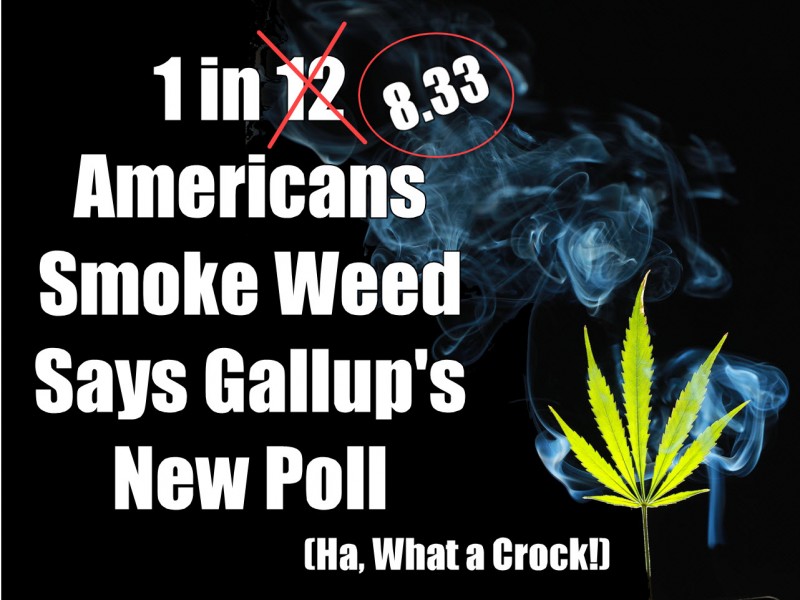 one in twelve Americans smoke weed