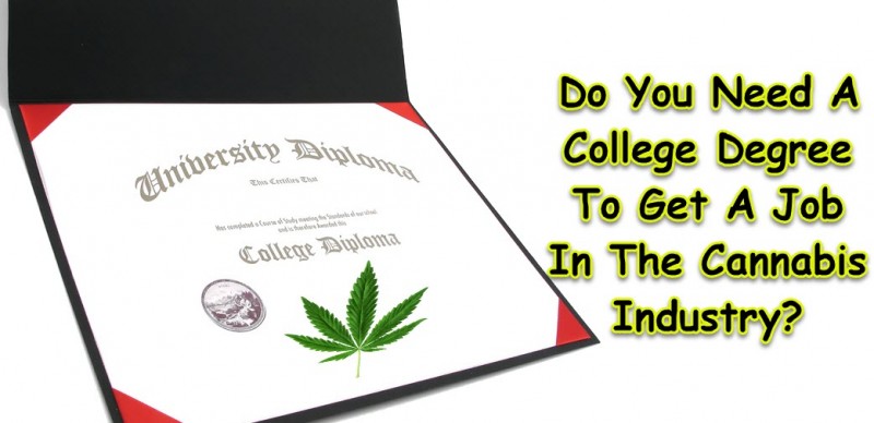 college degree marijuana jobs