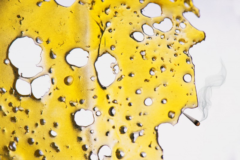 cannabis extraction business
