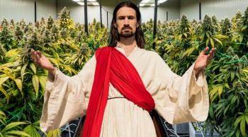 Did Jesus Heal People with Cannabis Oil? - Kaneh-Bosem in the Hebrew Bible May Shed Some New Light on His Miracles