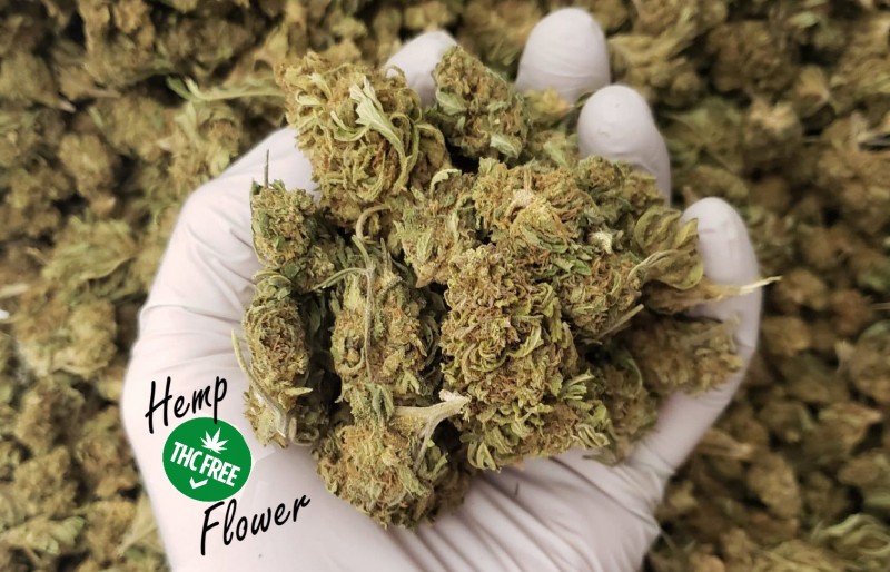 hemp flower benefits and side effects