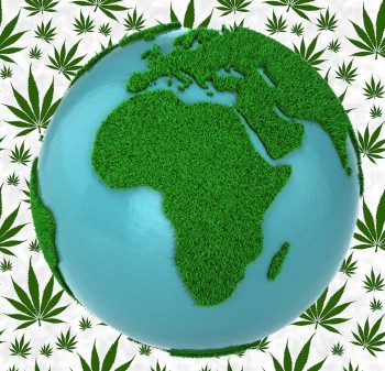 A Threat to the Legal European Cannabis Market? - Morocco and Zimbabwe Accelerate Marijuana Export Plans