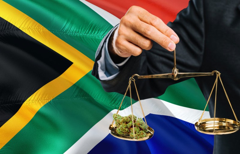 trial of the plant in South Africa
