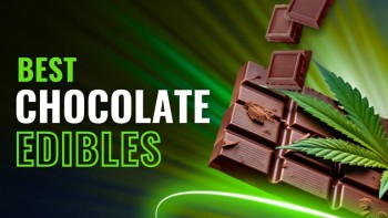 Best Chocolate Edibles of 2024: Tasty Cannabis Chocolates Ranked & Reviewed