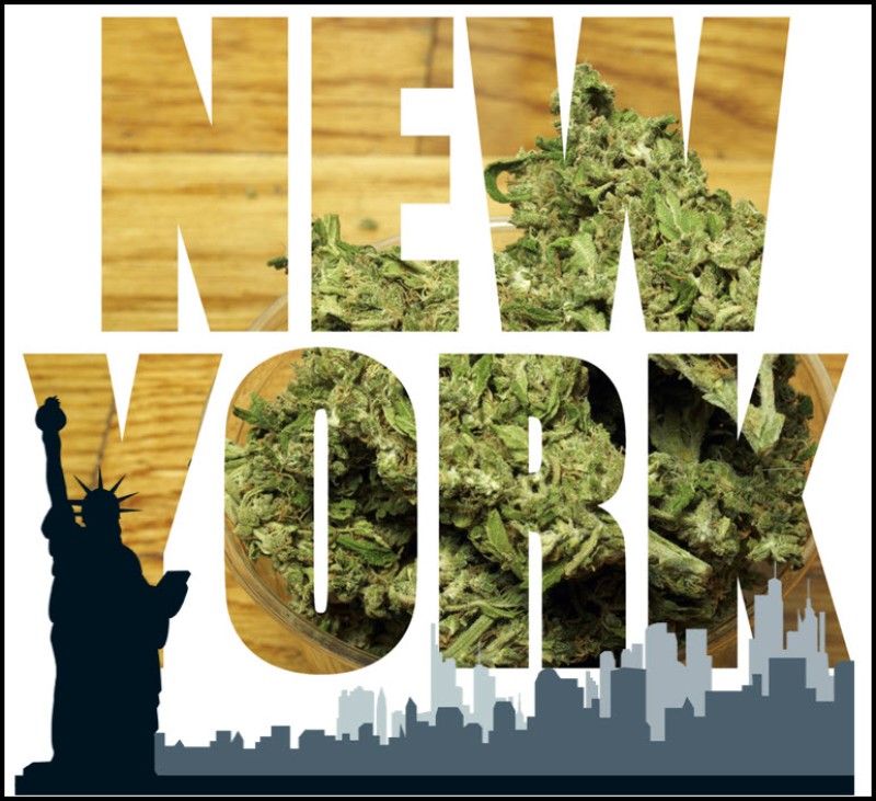 New York flower for MMJ patients