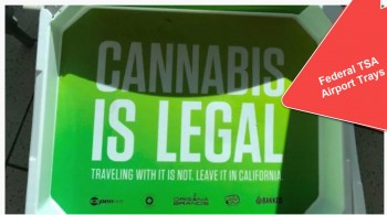 Cannabis Ads at TSA Checkpoints: A Sign of the Times