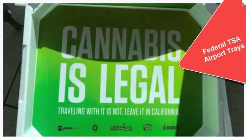 TSA tray for marijuana