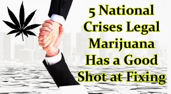 5 National Crises Legal Marijuana Has a Good Shot at Fixing
