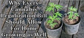 Why Home Growing Clauses should be in Every Legalization Bill