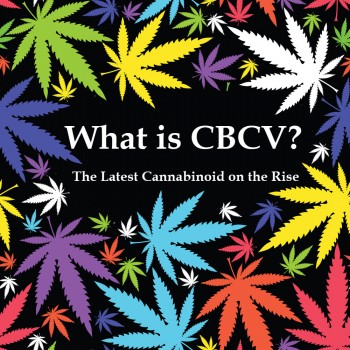 What is CBCV? - The Latest Cannabinoid on the Rise