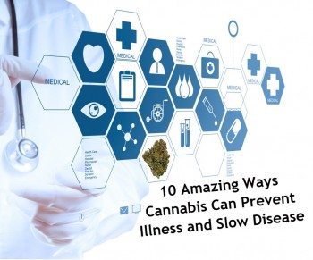 10 Amazing Ways Cannabis Can Prevent Illness and Slow Disease