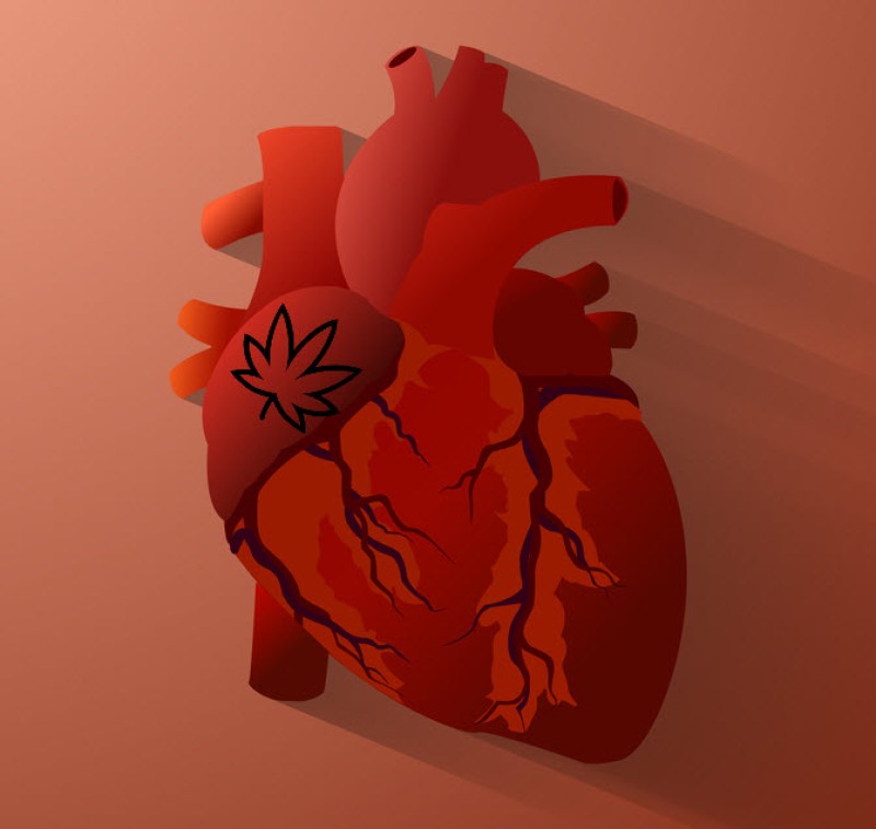 cannabis and heart abnormalities