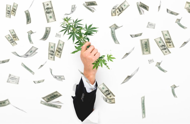 banking access for marijuana business US voters are in favor