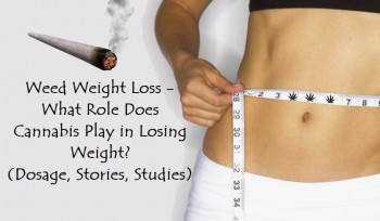 Weed Weight Loss - What Role Does Cannabis Play in Losing Weight? (Dosage, Stories, Studies)