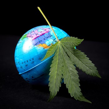 Marijuana Legalization Update - Nebraska, Louisiana, Hawaii, New Mexico, and South Carolina News