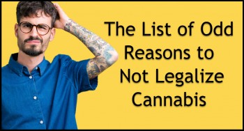 Voting for Weed - The List of Odd Reasons to Not Legalize Cannabis