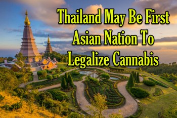 Thailand May Be First Asian Nation To Legalize Cannabis