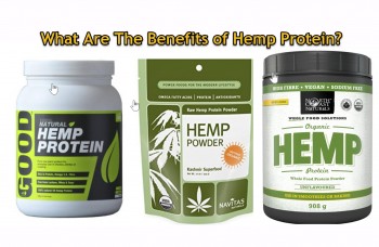 What Are The Benefits of Hemp Protein?