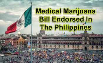 Medical Marijuana Bill Endorsed In The Philippines