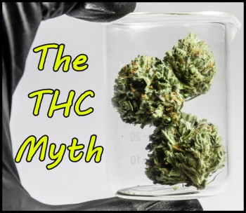 The THC Myth - How Cannabis Connoisseurs Will Choose Strains in the Future
