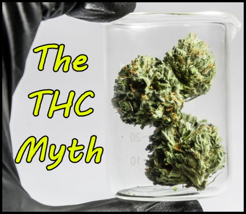 The Thc Myth How Cannabis Connoisseurs Will Choose Strains In The Future