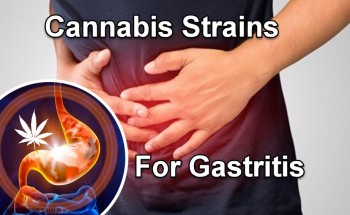 Cannabis Strains For Gastritis