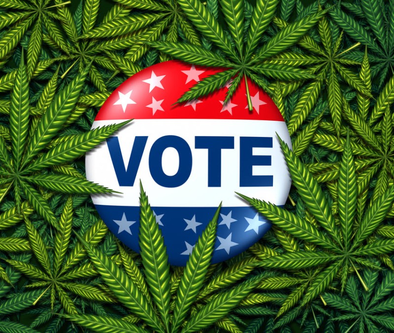 voting for pro-weed candidates