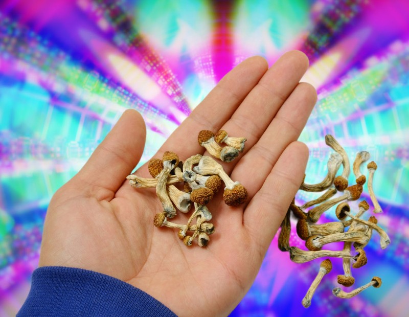 state legal psychedelics vs the FDA