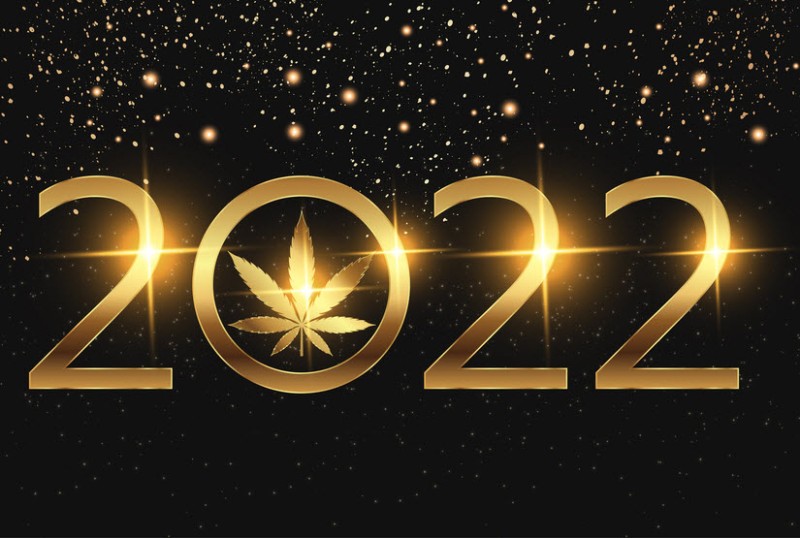 will weed be legal in 2022