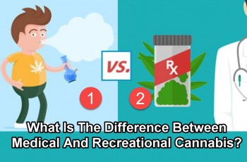 What Is The Difference Between Medical And Recreational Cannabis?