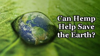 Can Hemp Save Mother Earth Before Leo's Flood?