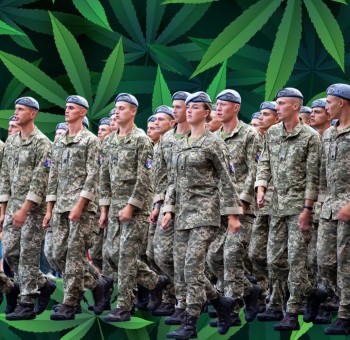 Why the Ukraine Legalized Medical Marijuana During the Russian Invasion
