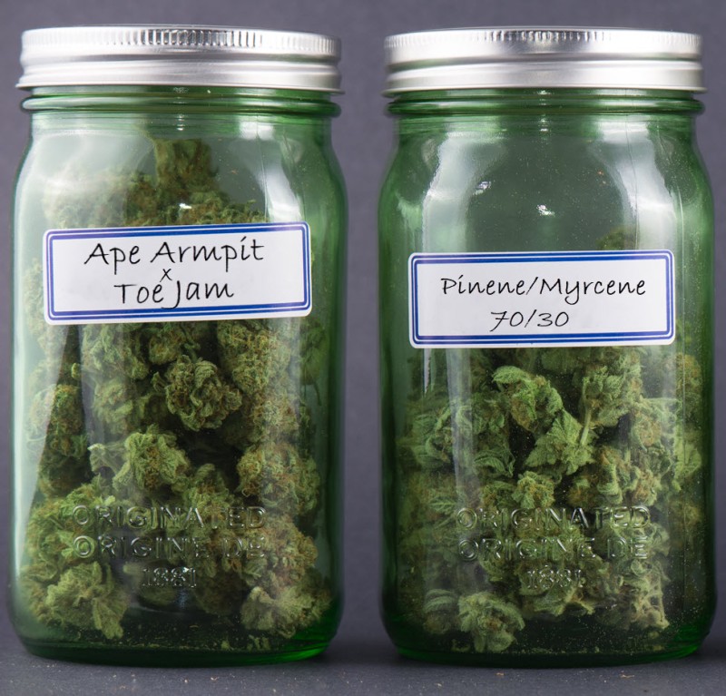 cannabis strain name battle